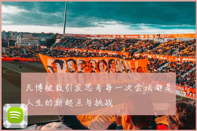 凡博被裁引发思考每一次尝试都是人生的新起点与挑战