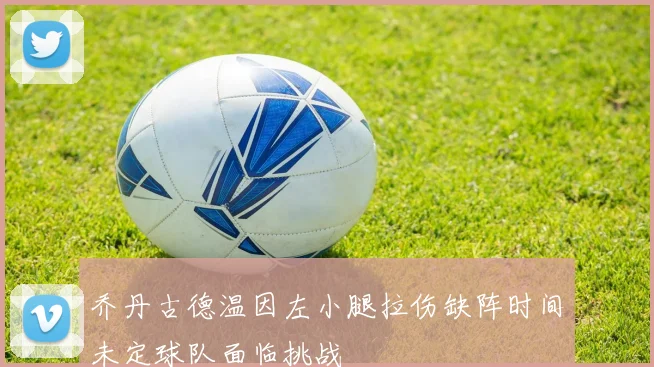 乔丹古德温因左小腿拉伤缺阵时间未定球队面临挑战