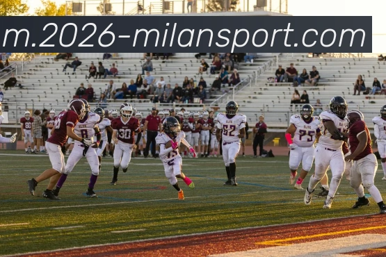 米兰体育平台生态图